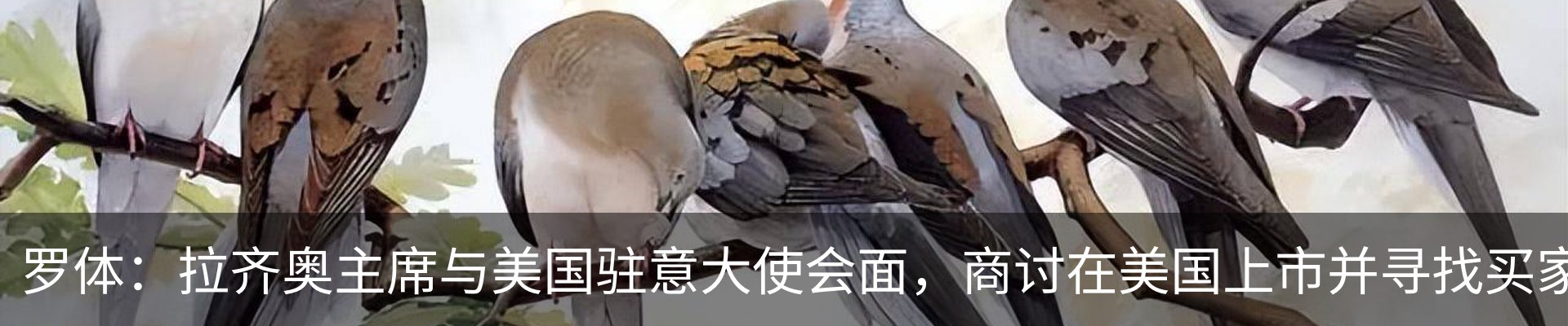 资讯中心